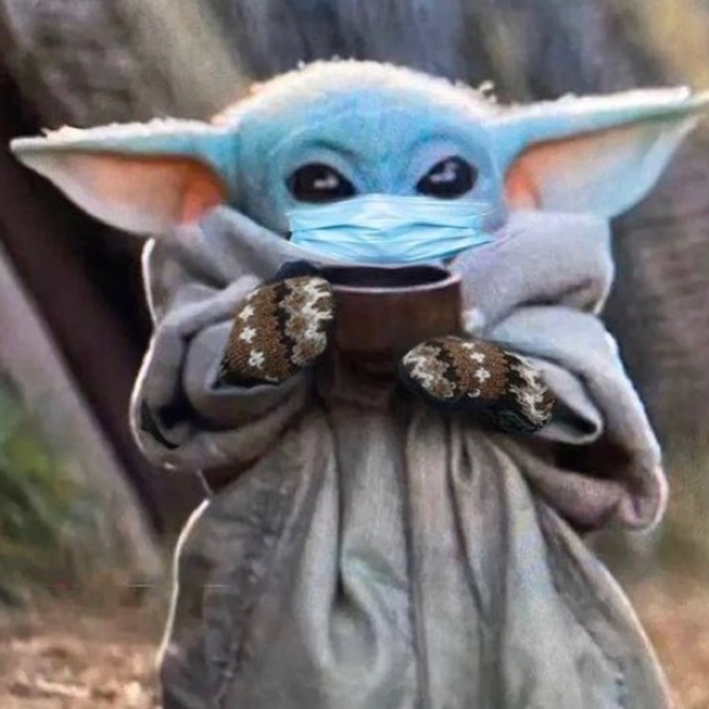 Meet your Posher, Cheyanne